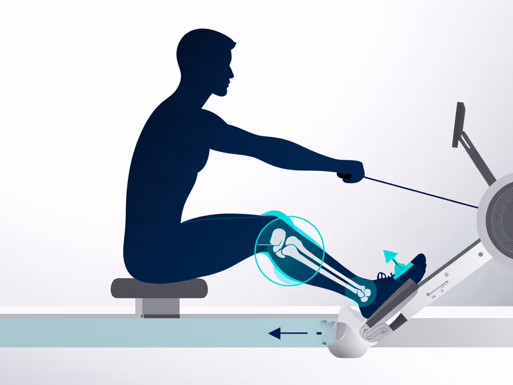 hip_and_knee_flexion_angles_during_rowing_recovery_phases
